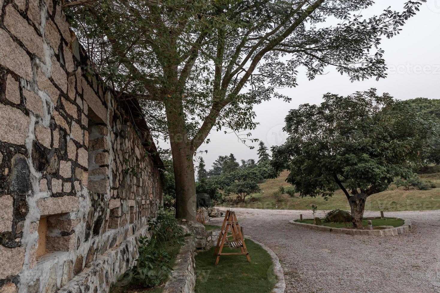 The walking path in the park is surrounded by trees photo