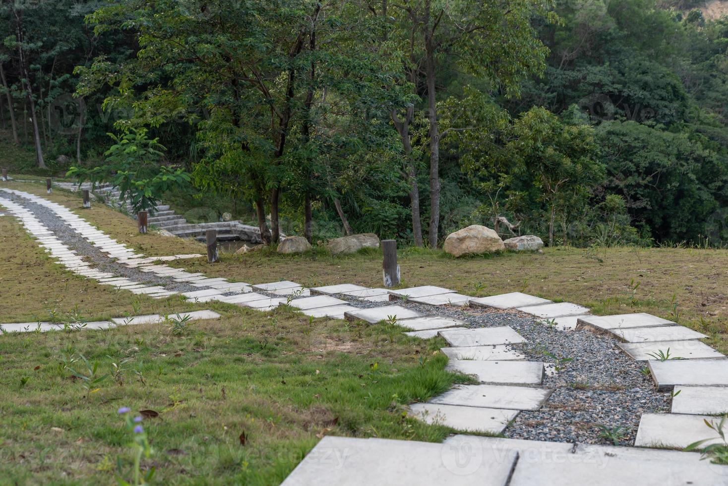 The walking path in the park is surrounded by trees photo