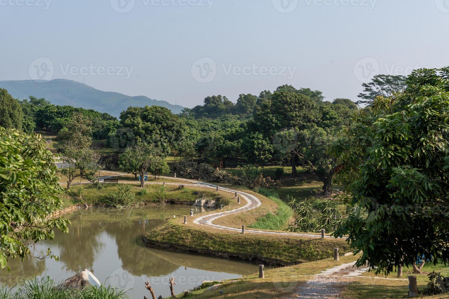 The artificial lake in the park and the roads and trees by the lake photo