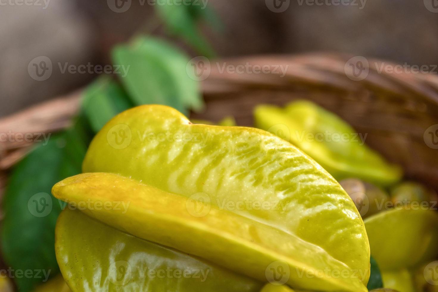 la carambola amarilla está madura. recogerlo y ponerlo en la canasta foto