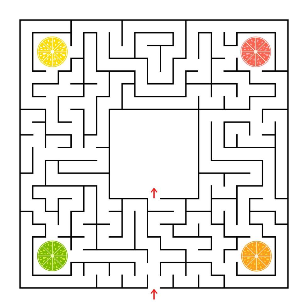 A square labyrinth. Collect all the lobes of fruit and find a way out of the maze. Simple flat isolated vector illustration.