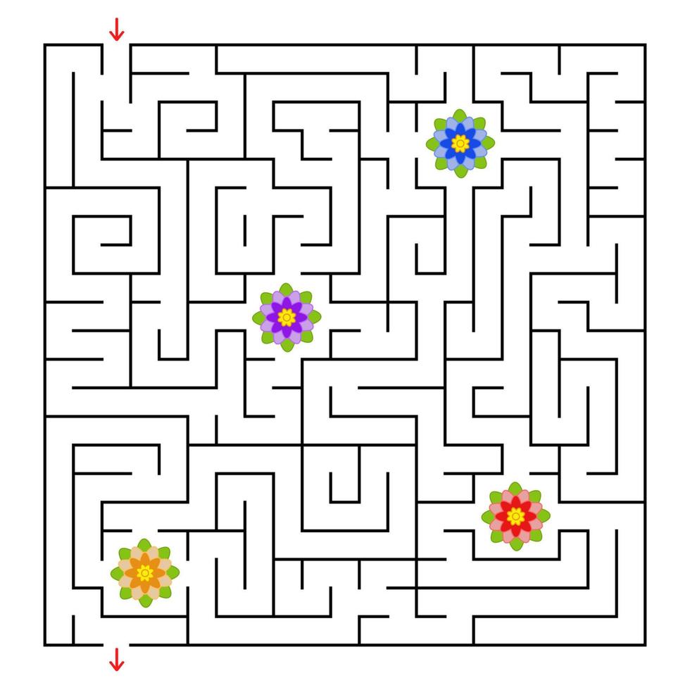 un laberinto cuadrado. Recoge todas las flores y encuentra una salida del laberinto. Ilustración de vector aislado plano simple.