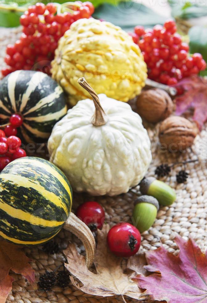 Autumn composition with assorted pumpkins photo