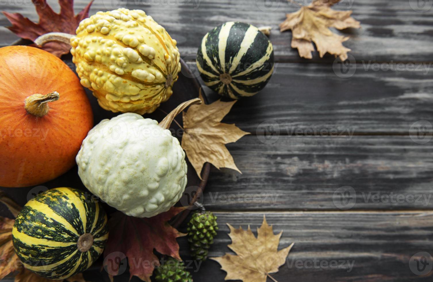 Autumn composition with assorted pumpkins photo