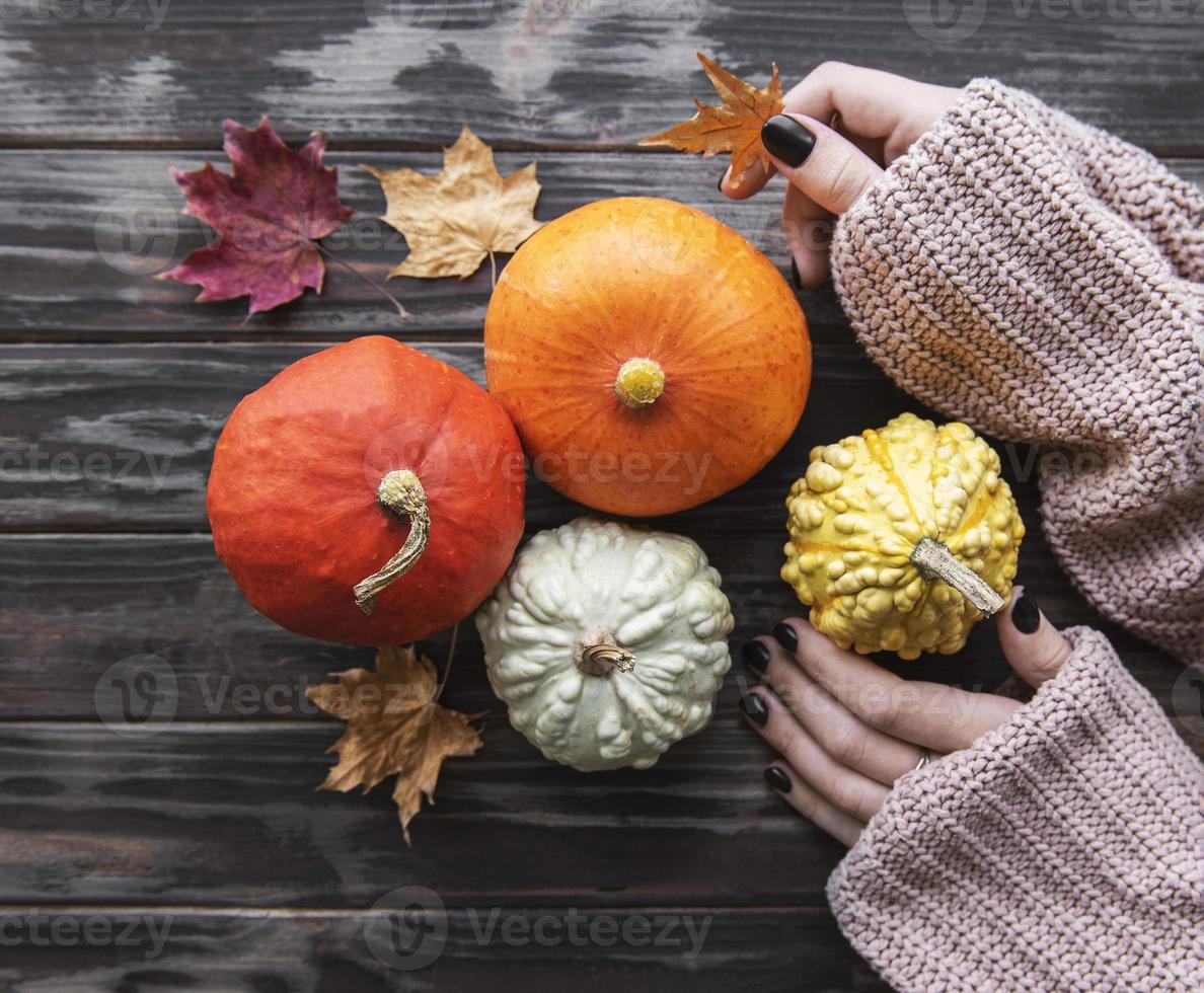 manos femeninas sosteniendo calabazas de otoño foto