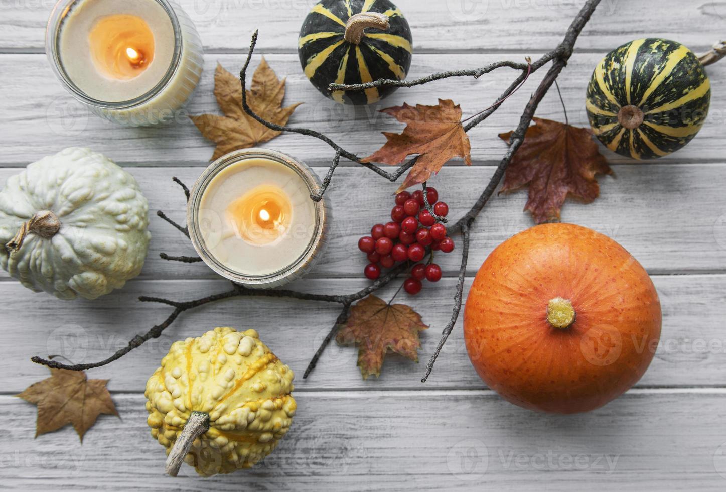 composición de otoño con calabazas surtidas foto