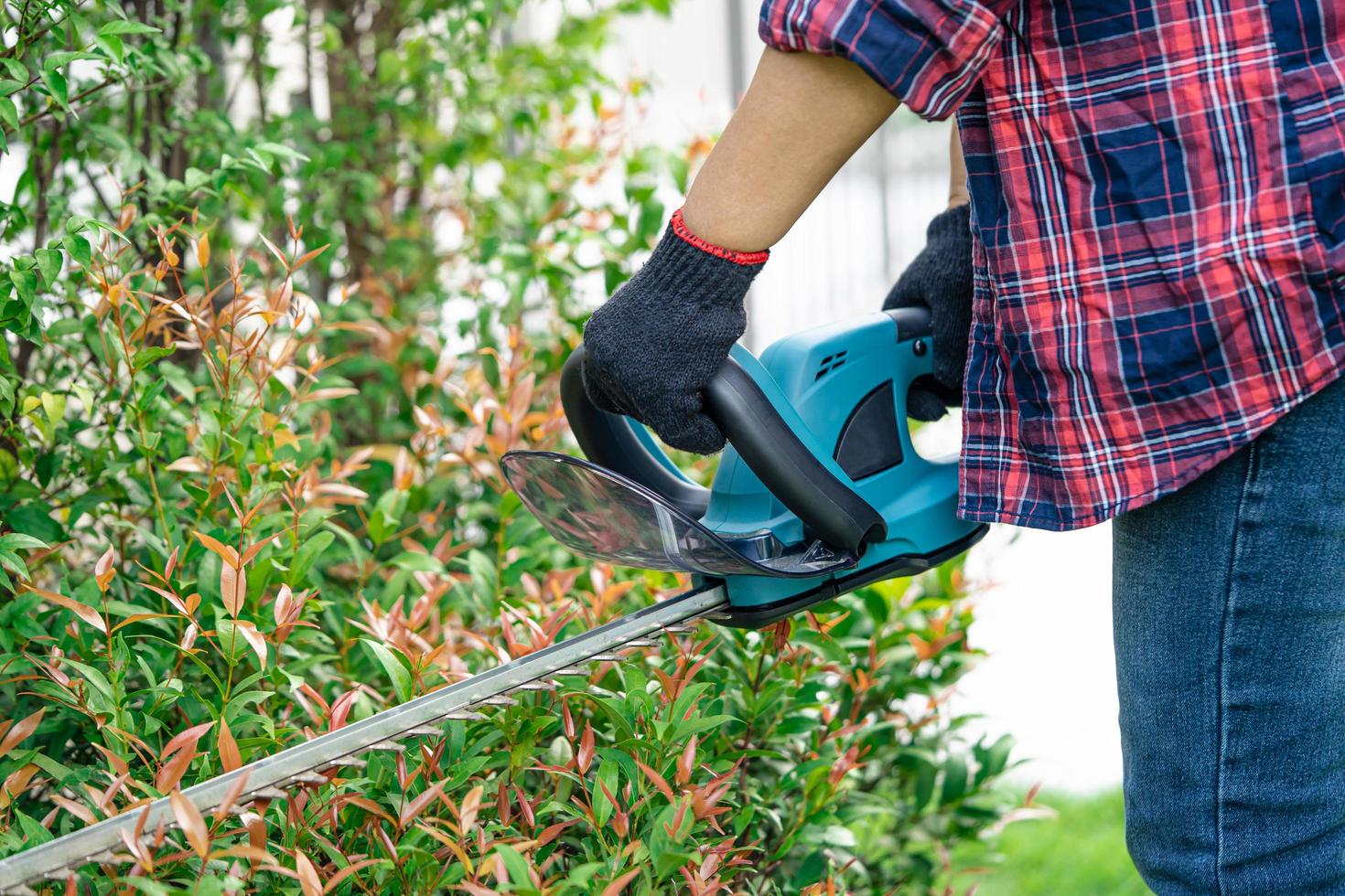 Gardener holding electric hedge trimmer to cut the treetop in garden photo