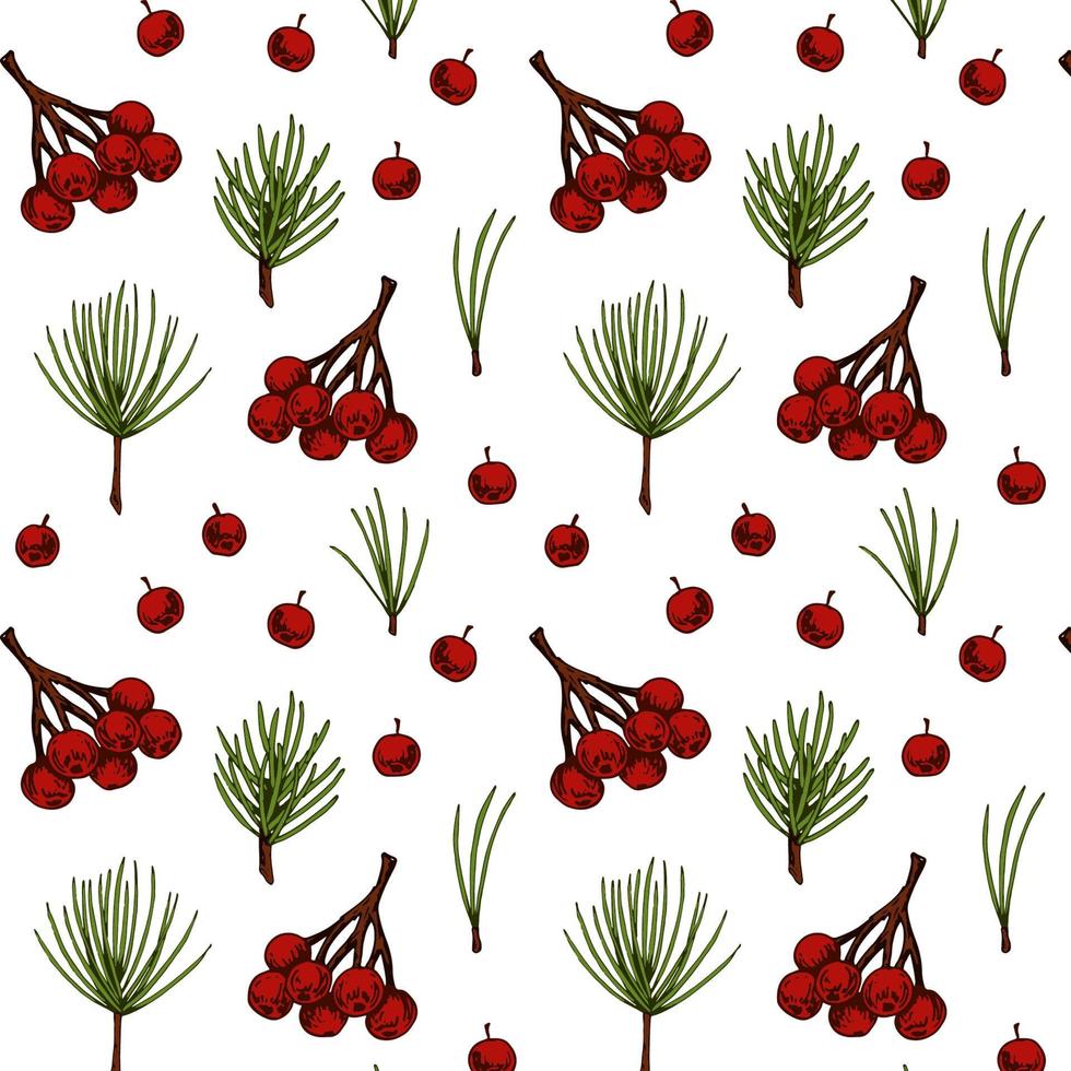 Hand drawn forest and Christmas seamless pattern with evergreen tree branches and needles and red berries isolated on white background. Vector illustration in colored sketch style