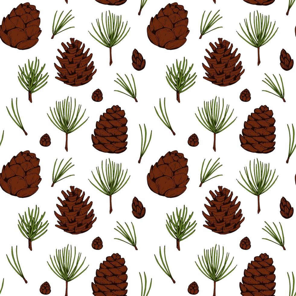 Hand drawn forest and Christmas seamless pattern with fir tree and pine tree branches and cones isolated on white background. Vector illustration in colored sketch style