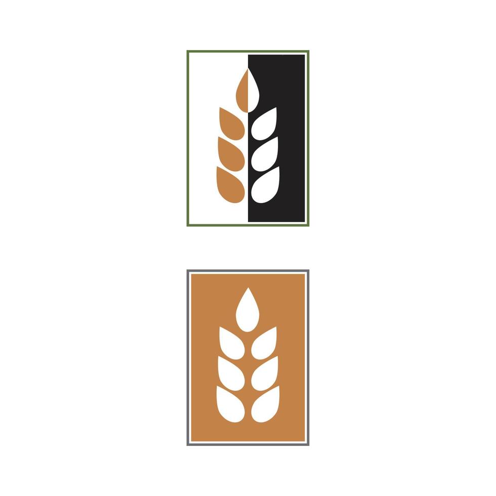 diseño de icono de vector de trigo de agricultura