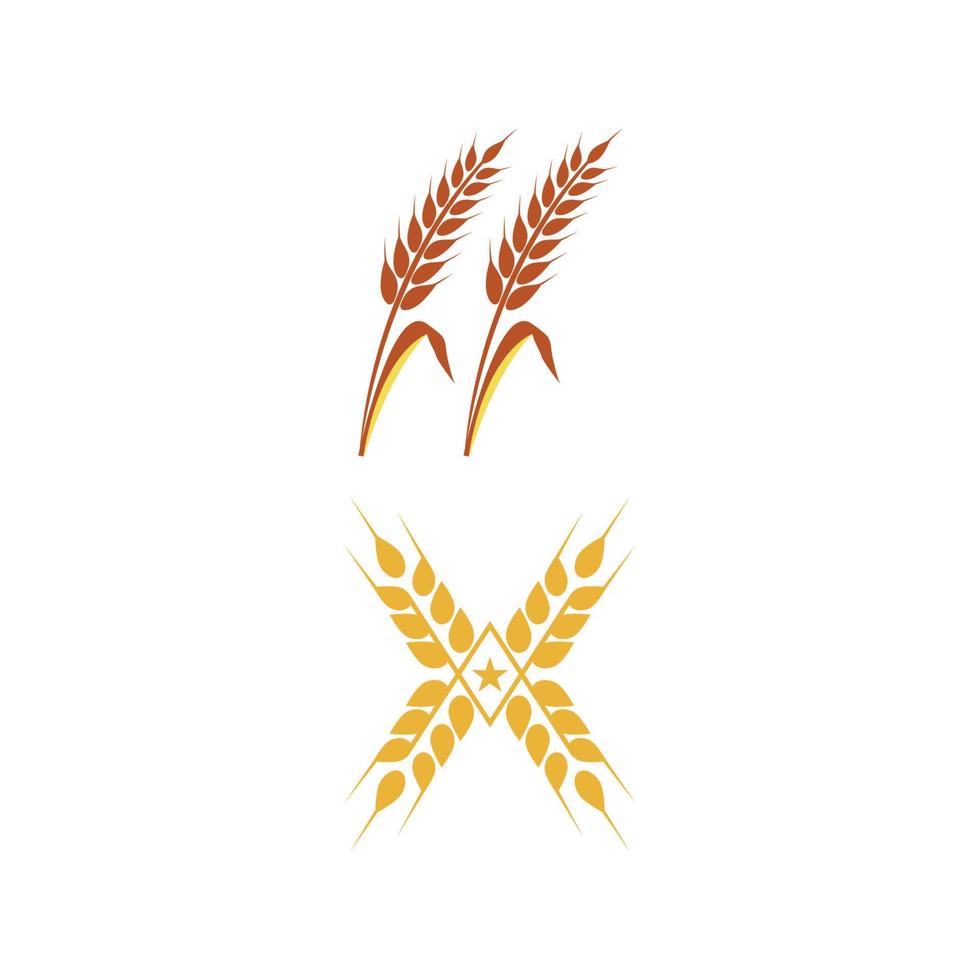 diseño de icono de vector de trigo de agricultura