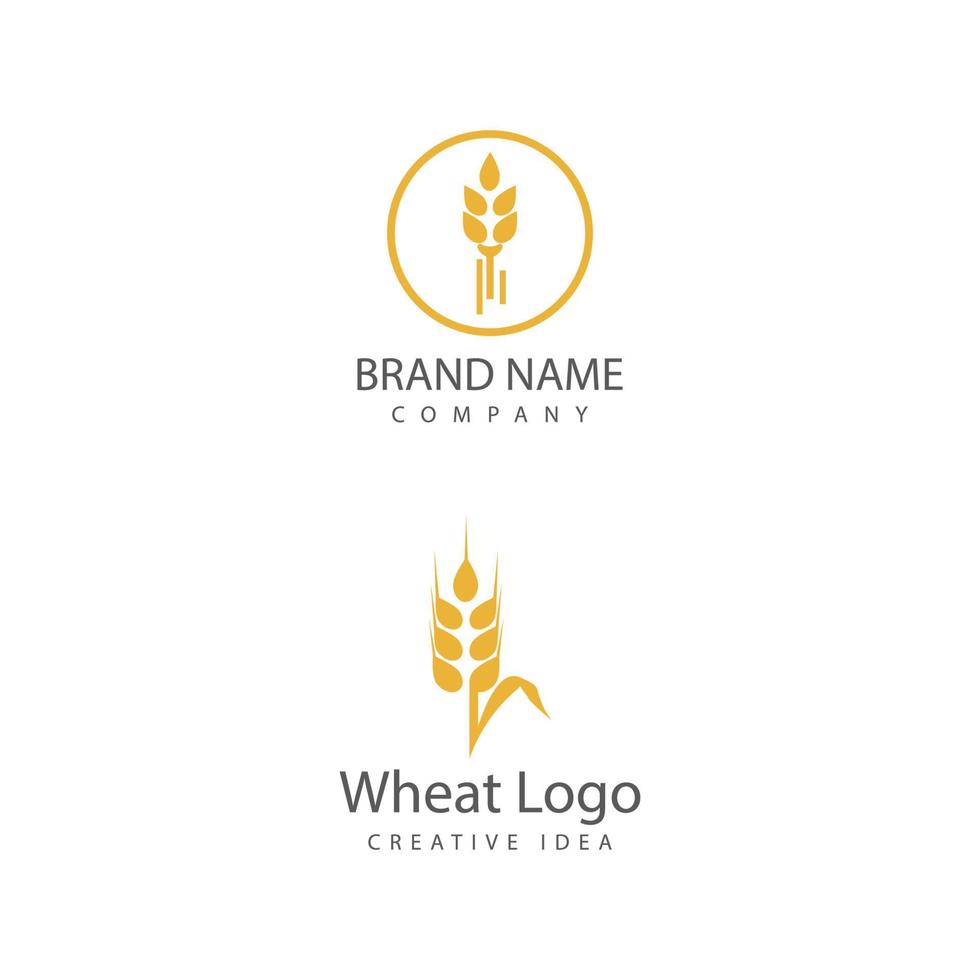 Agriculture wheat vector icon design