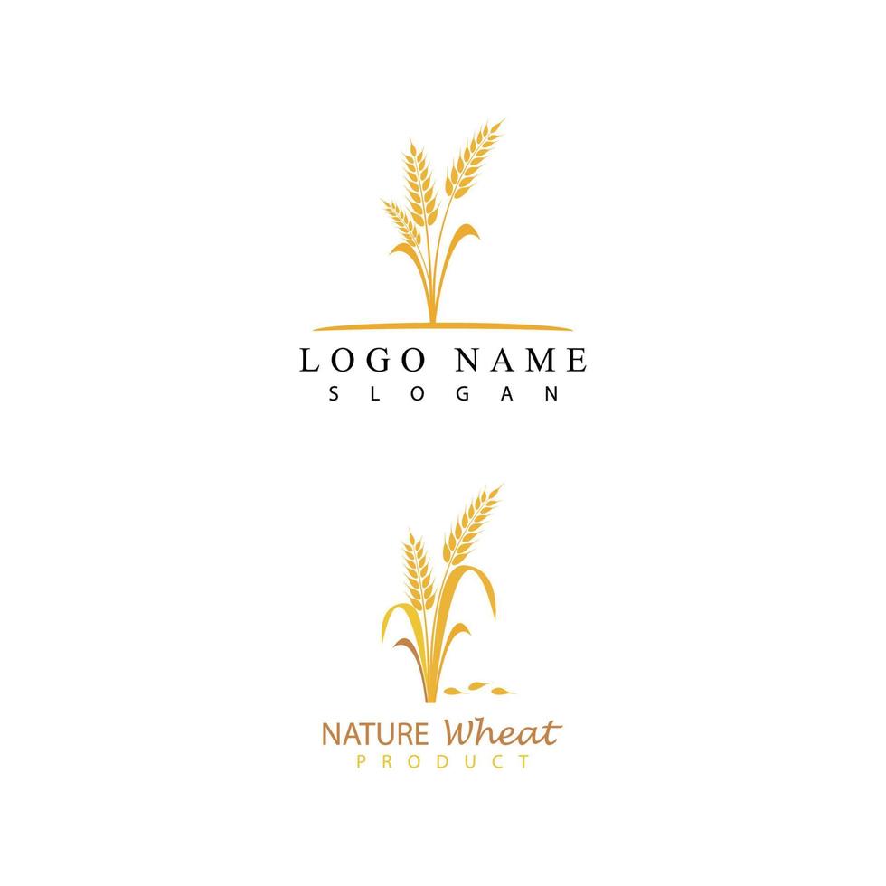 Agriculture wheat vector icon design