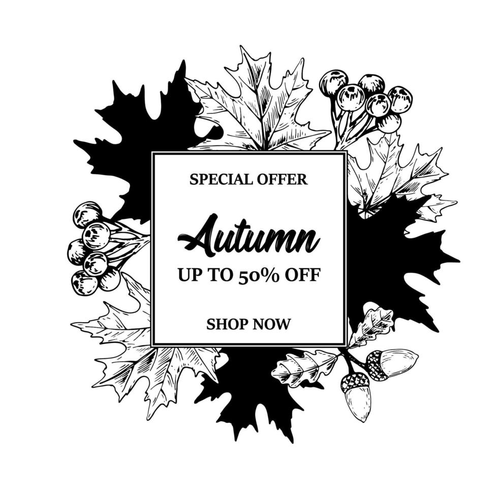 Pack of Autumn Sale design with hand drawn leaves and berries. Vector illustration in sketch style isolated on white. Realistic forest design elements Space for text