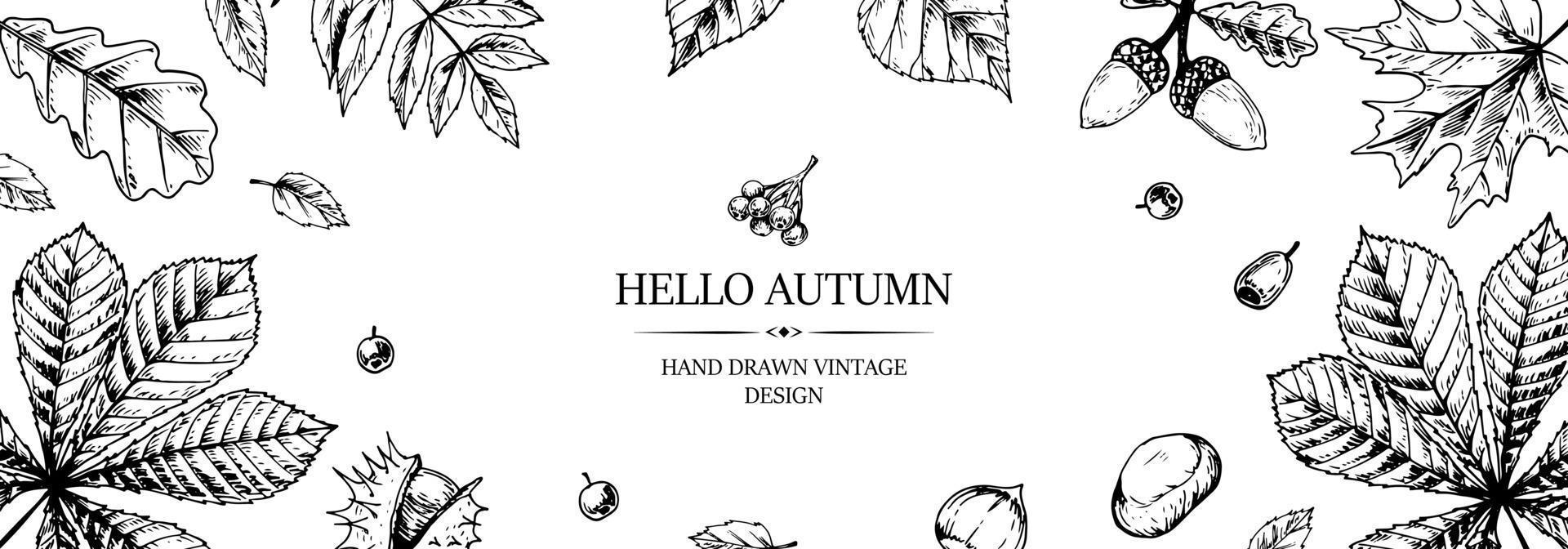 Hand drawn autumn horizontal banner with falling leaves, acorn and berries. Vector illustration in sketch style isolated on white. Space for text