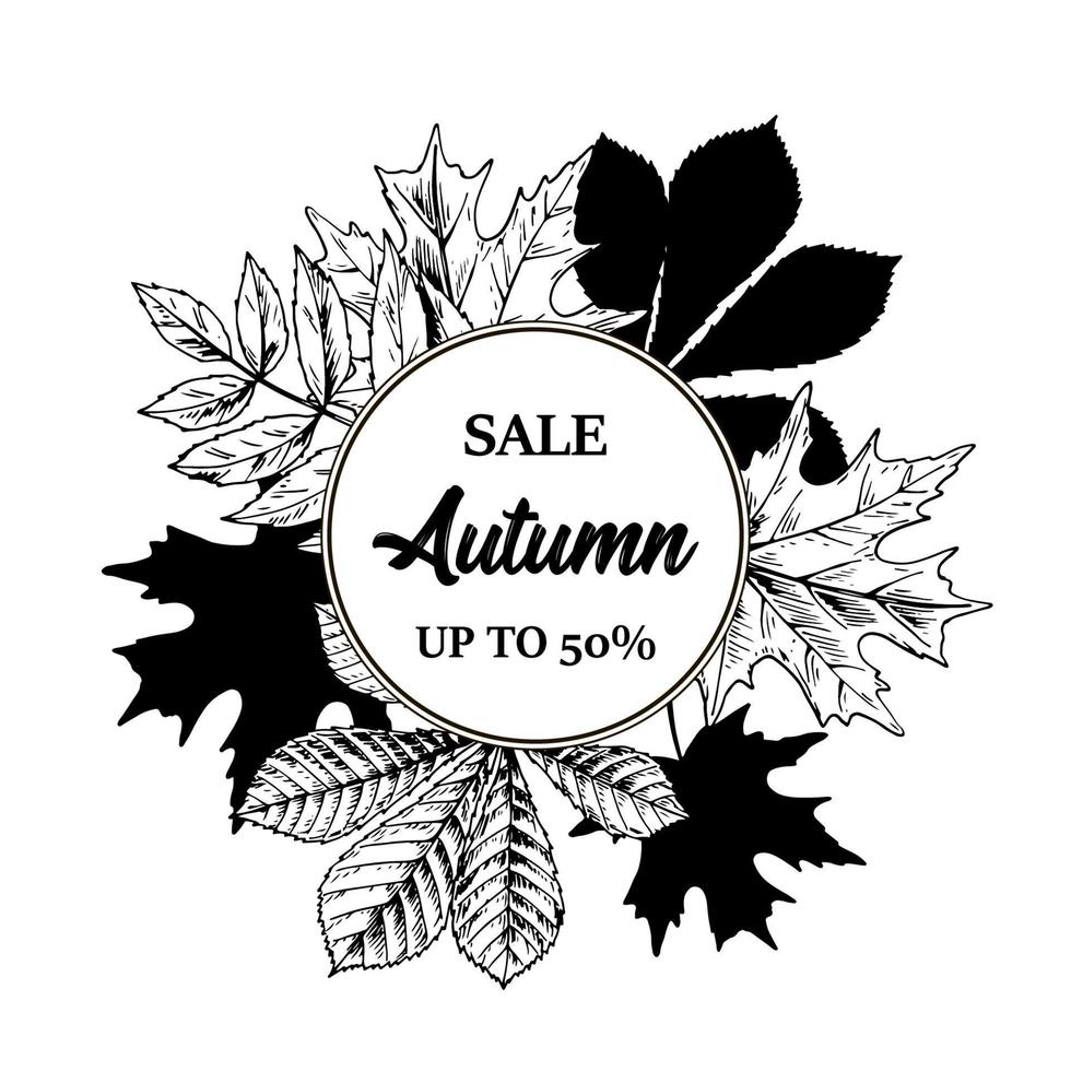 Autumn Sale design with hand drawn leaves. Vector illustration in sketch style isolated on white. Realistic forest design elements Space for text