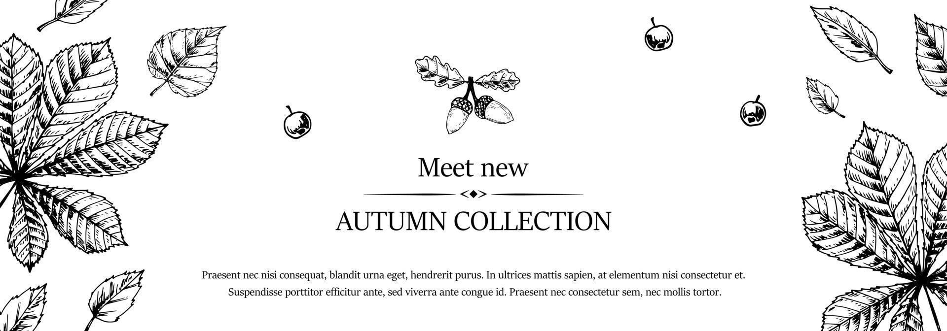 banner horizontal de otoño dibujado a mano con hojas caídas, bellotas y bayas. ilustración vectorial en estilo boceto aislado en blanco. espacio para texto vector