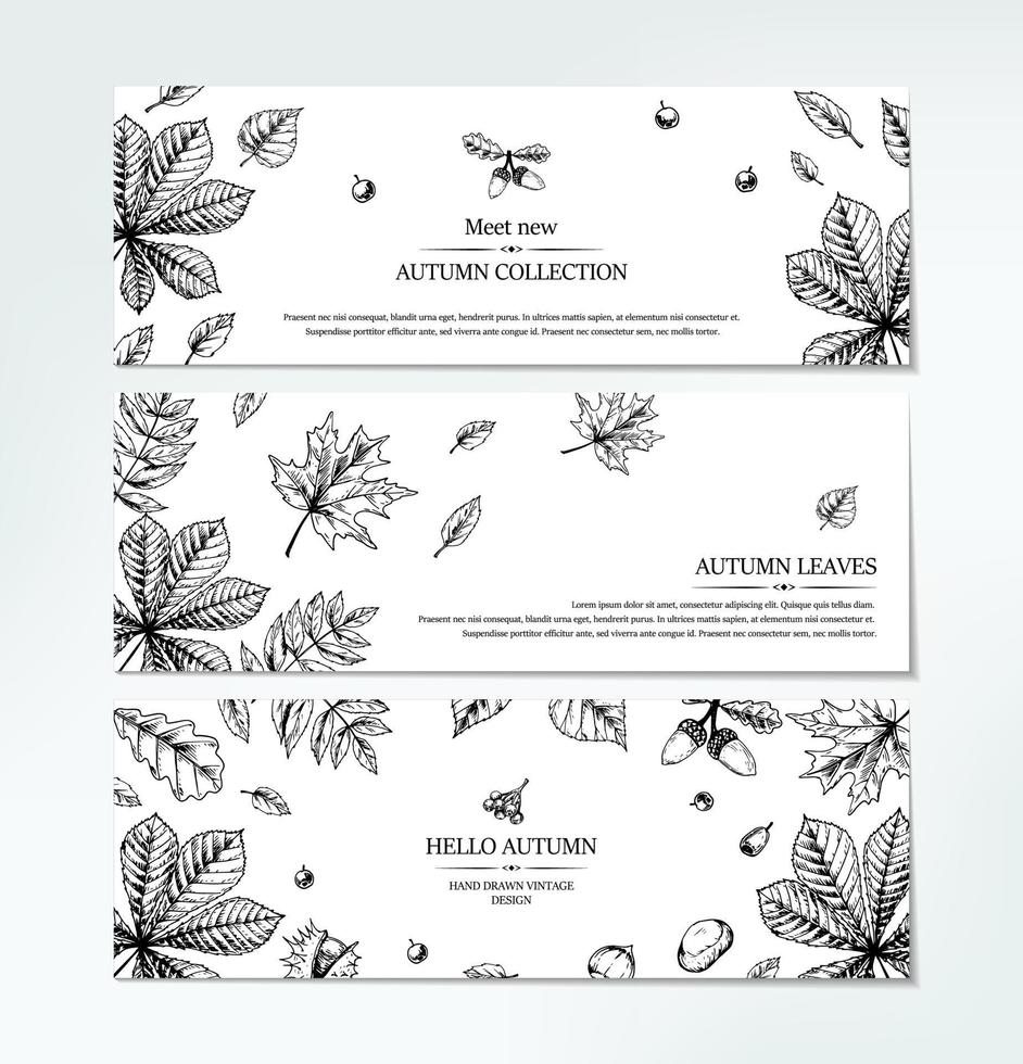 Set of hand drawn autumn horizontal banners with falling leaves, acorn and berries. Vector illustration in sketch style isolated on white. Space for text