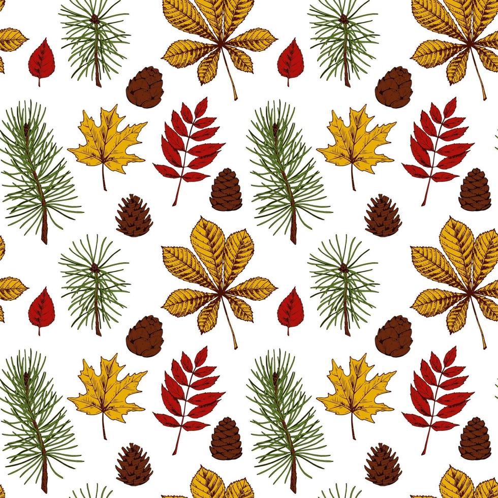 otoño de patrones sin fisuras con conos, hojas, ramas de árboles de Navidad aisladas sobre fondo blanco. Ilustración de vector de dibujo coloreado dibujado a mano. arte de línea vintage