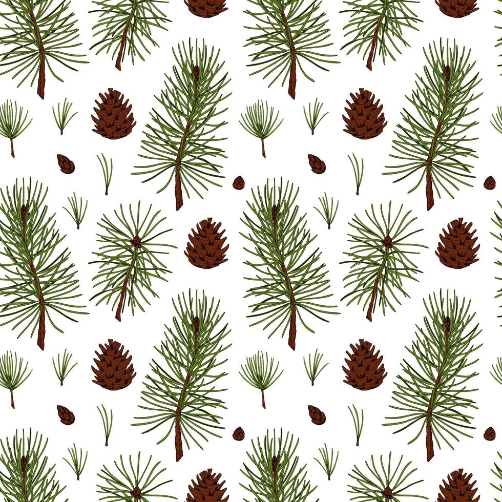 Hand drawn forest and Christmas seamless pattern with fir tree and pine tree branches and cones isolated on white background. Vector illustration in colored sketch style