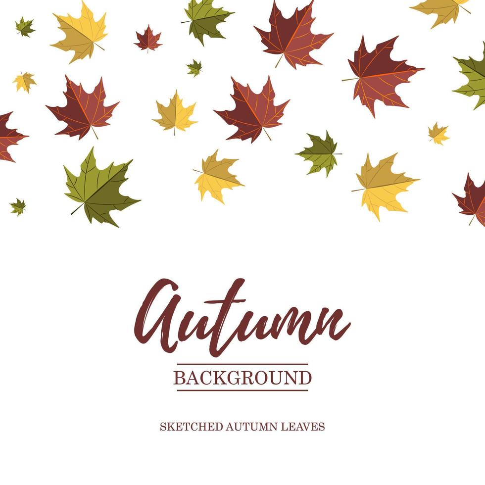 Autumn square design with colorful falling maple leaves. Place for text. Vector illustration