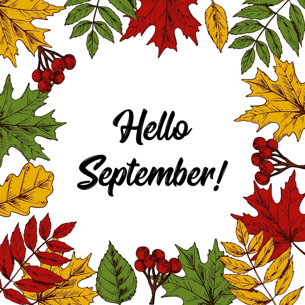 Hand drawn autumn square banner with hand drawn leaves and berries isolated on white. Space for text. Vector illustration in sketch style. Hello September lettering.