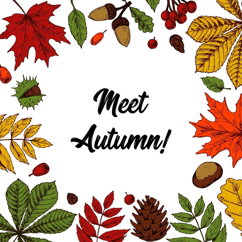 Hand drawn autumn square banner with hand drawn leaves, berries, acorns isolated on white. Space for text. Vector illustration in sketch style. Meet autumn lettering.