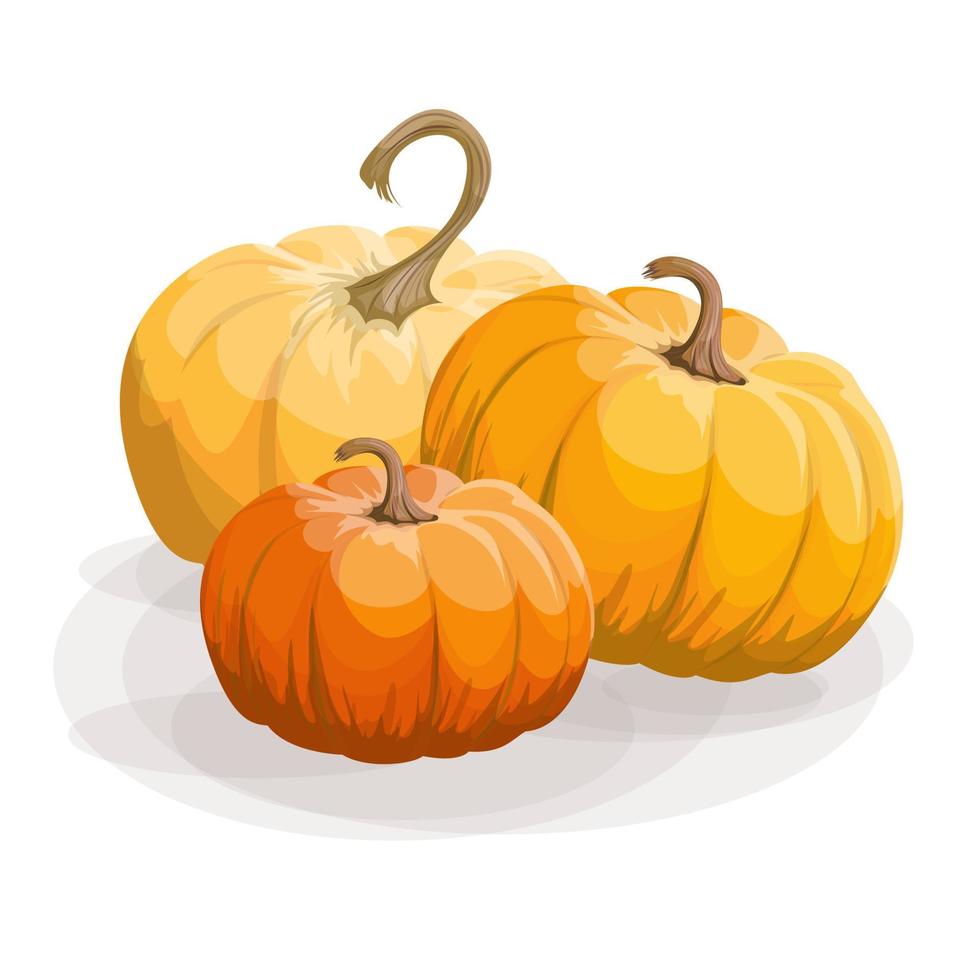 Vector Image Of Three Pumpkins 3537448 Vector Art At Vecteezy Image Of Three Pumpkins Vector