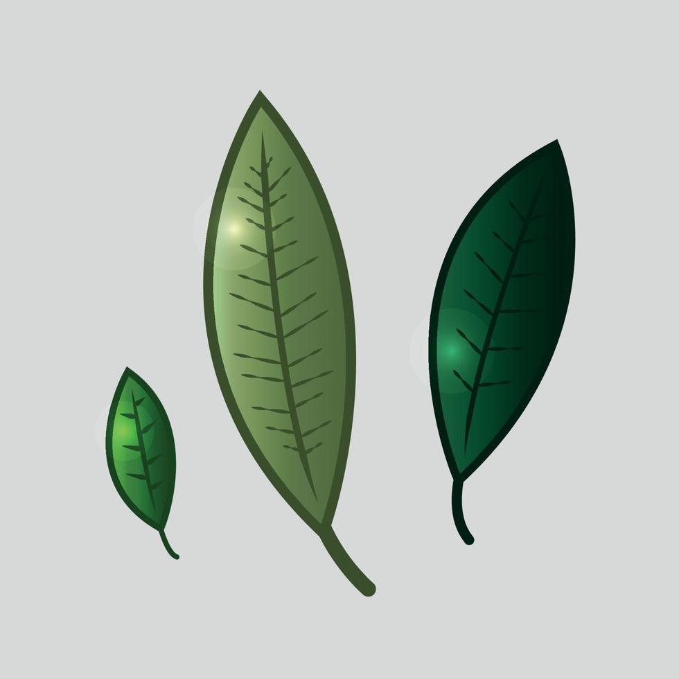 three leaves with different gradient colors and patterns vector illustration