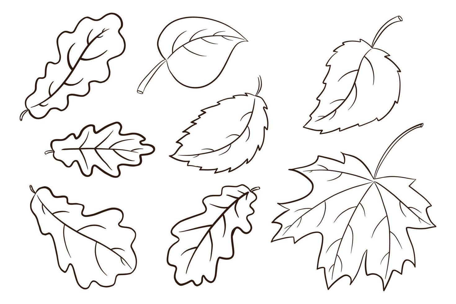 Autumn Leaves Collection vector