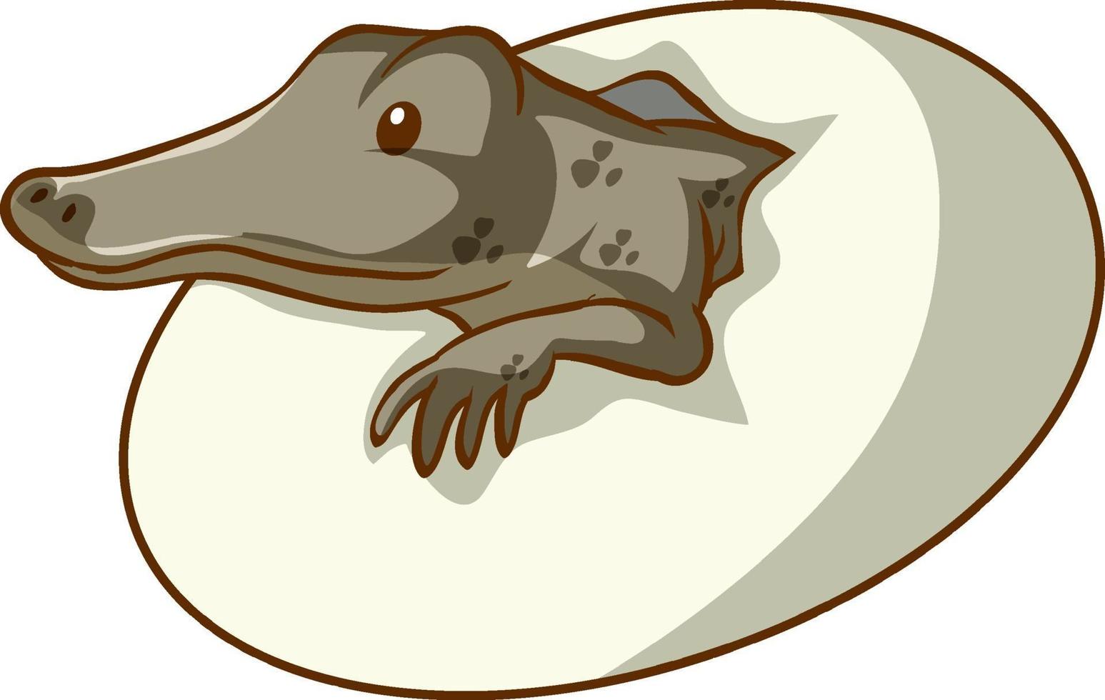 Cocodrilo de un huevo para incubar sobre fondo blanco. vector