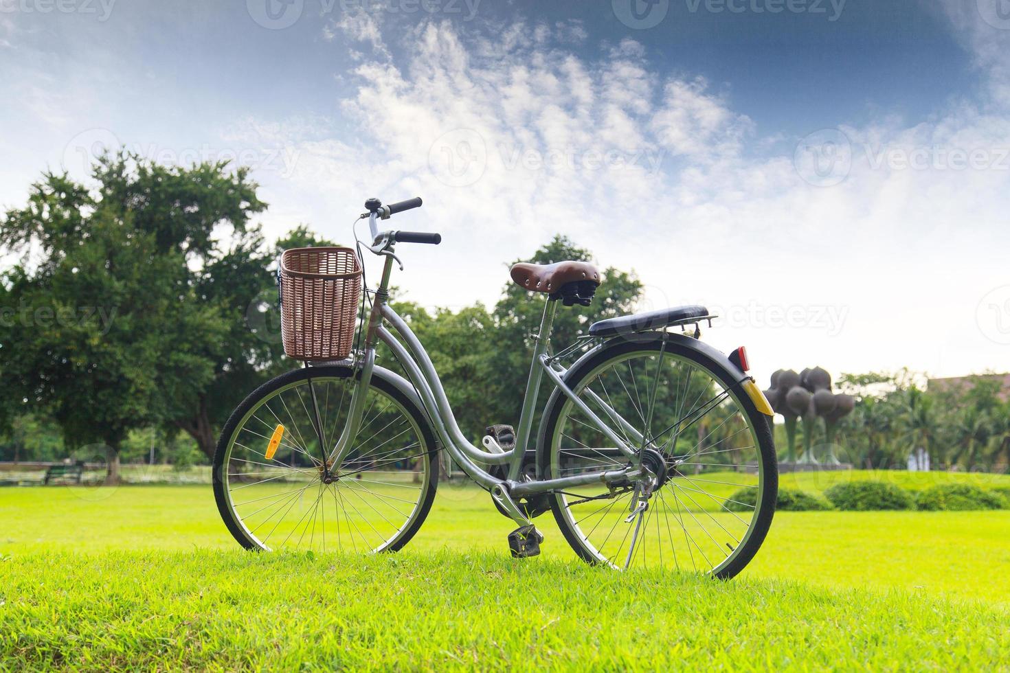 Bicycles in the park photo