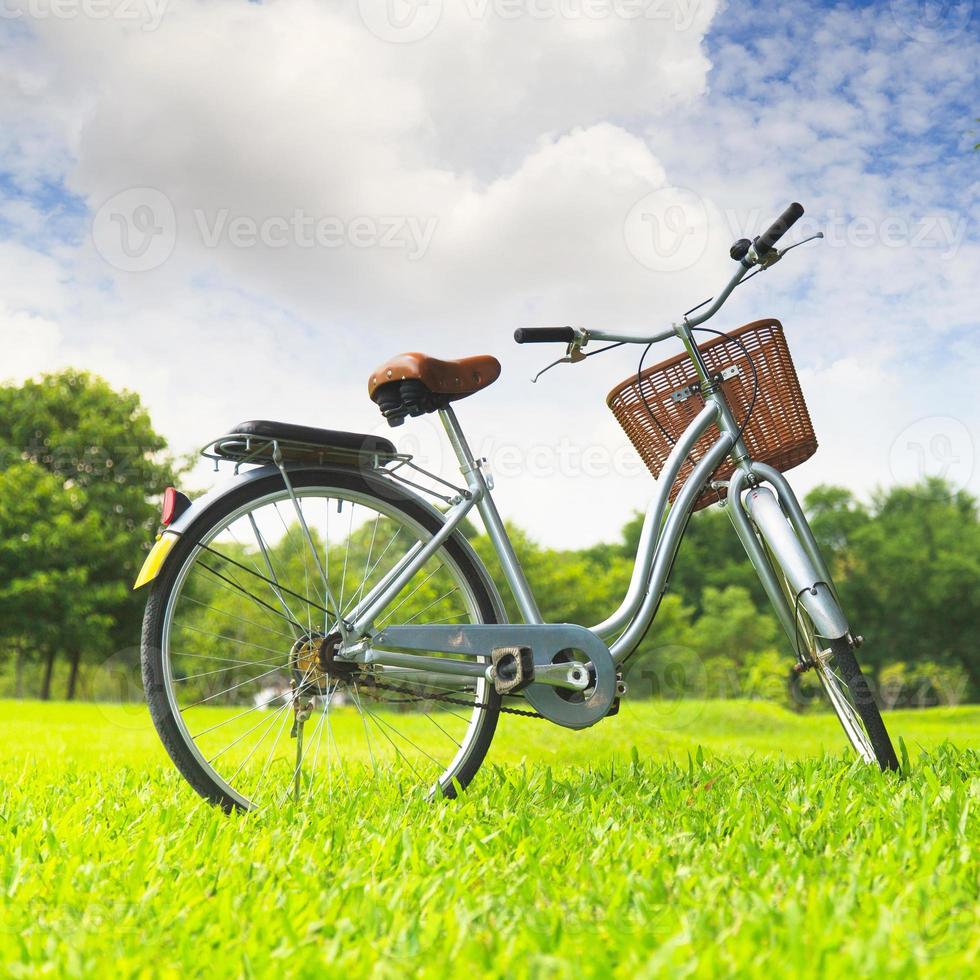 bicicletas en el parque foto