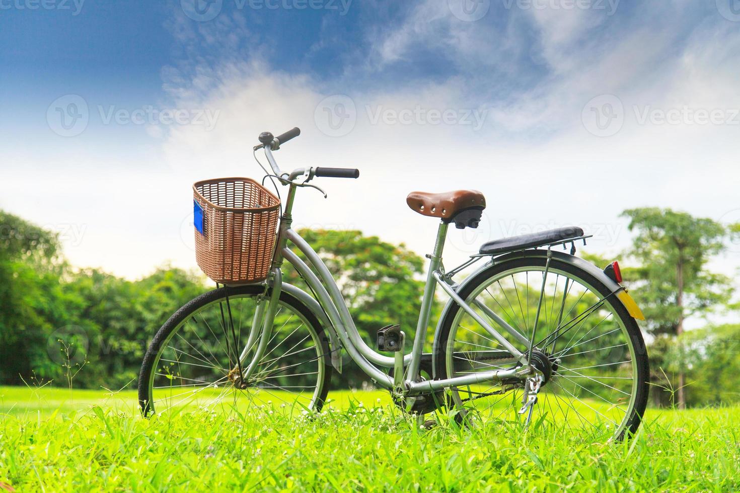 bicicletas en el parque foto