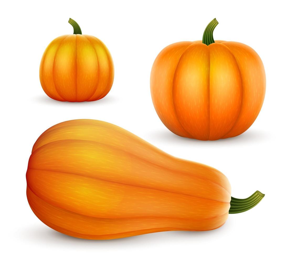 conjunto de calabazas realistas de diferentes formas de acción de gracias de halloween vector