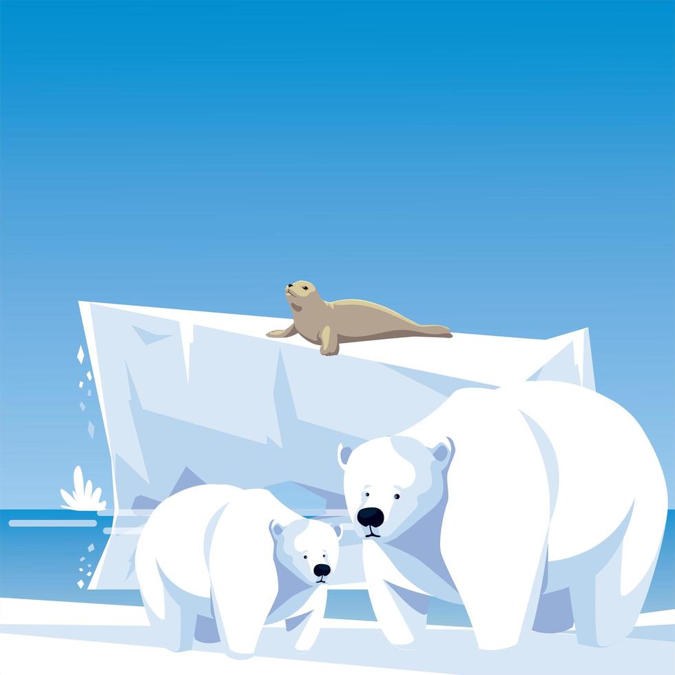 polar bears and seal iceberg north pole landscape vector