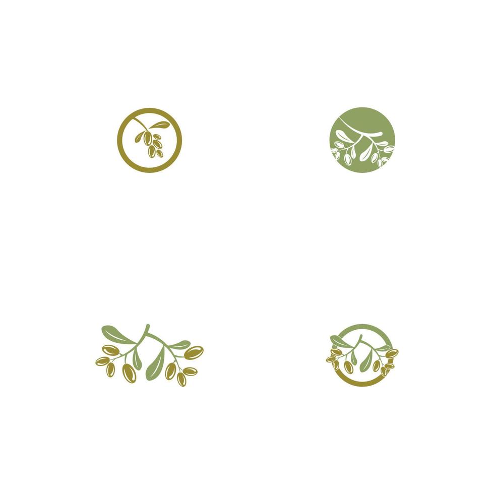 olive icon vector illustration