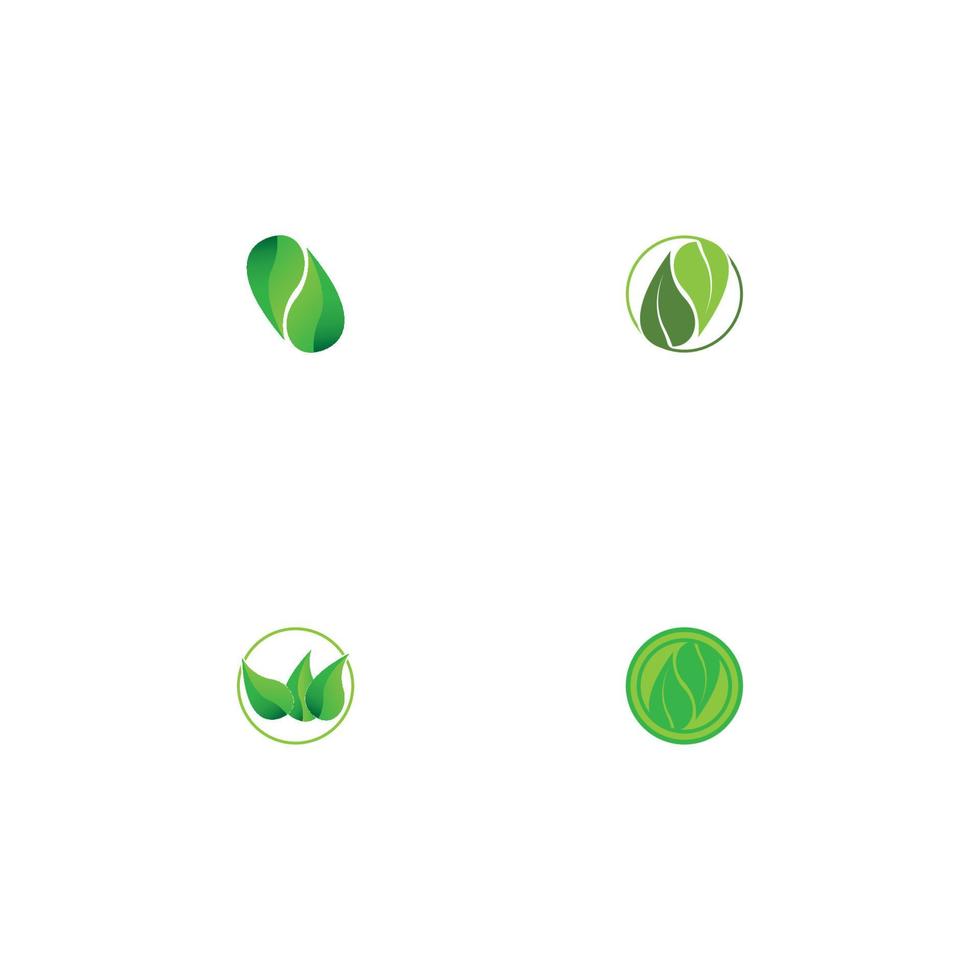 Logos of green Tree leaf ecology vector