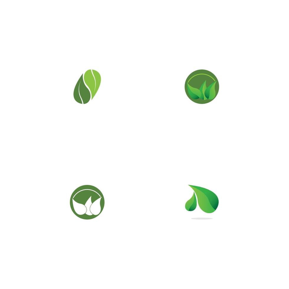 Logos of green Tree leaf ecology vector