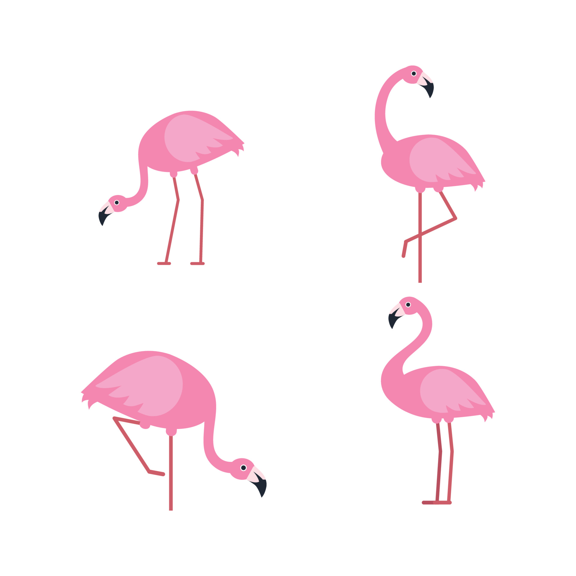 Flamingo Vector Art, Icons, and Graphics for Free Download