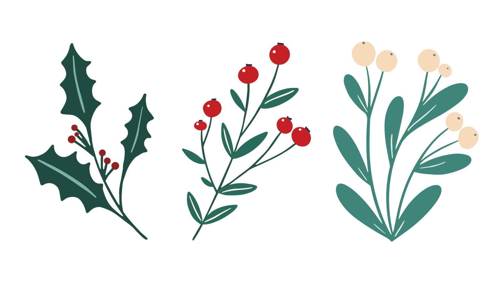 Winter foliage floral elements set - white berry mistletoe, holly berry branch. Festive Christmas flowers clip art in simple hand drawn style isolated on white background. Vector collection