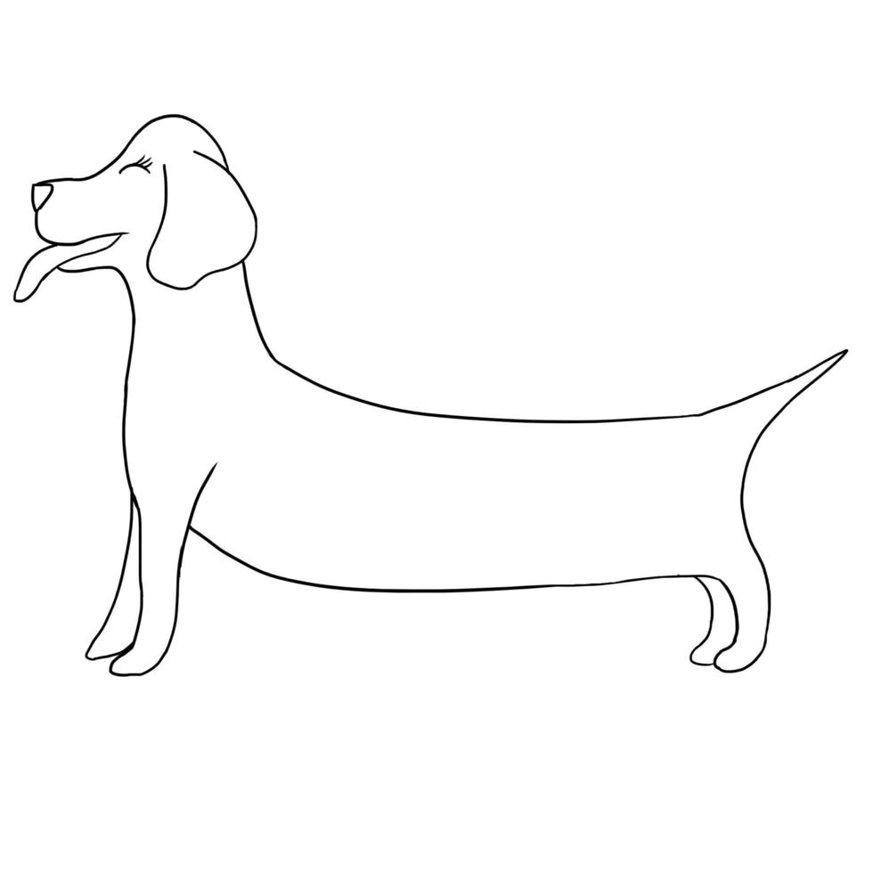 Hand drawn cute Long brown dog Animal vector illustration isolated in a white background