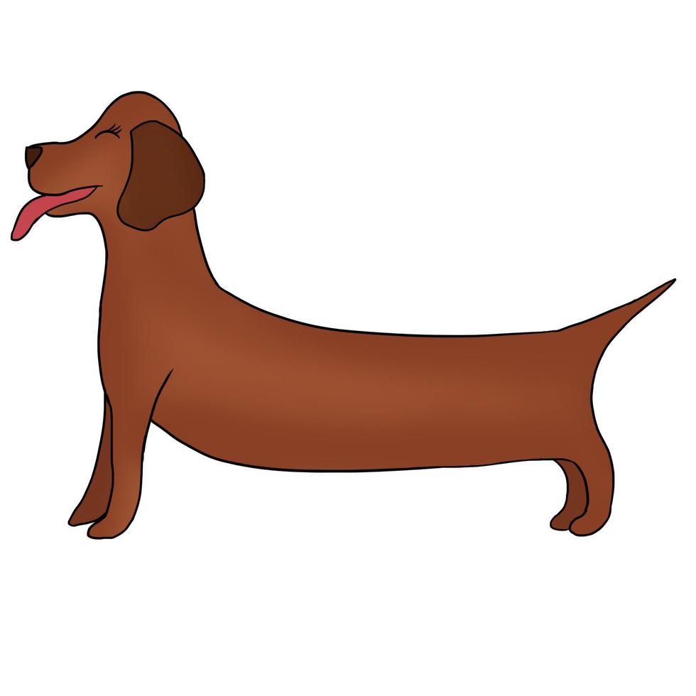 Hand drawn cute Long brown dog Animal vector illustration isolated in a white background