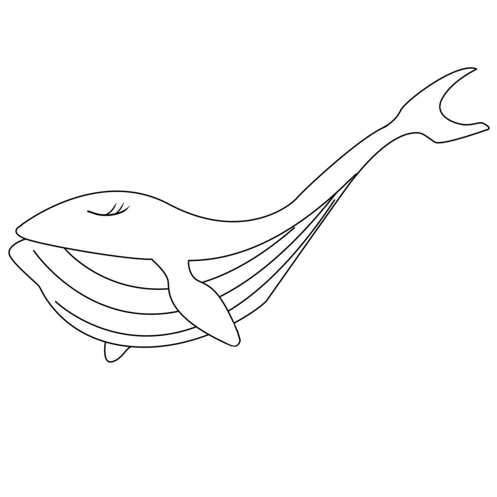 Hand drawn cute Whale Animal vector illustration isolated in a white background