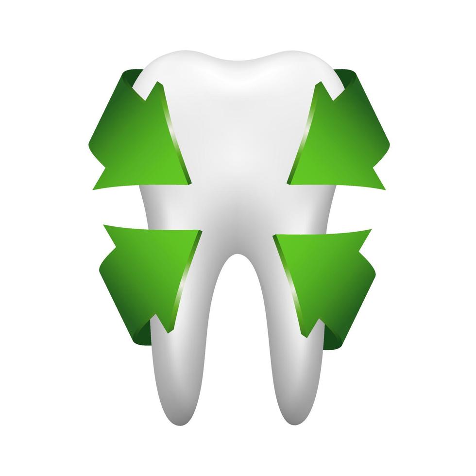 White tooth with four green arrows. Stomatology icon isolated on white background. Realistic vector illustration