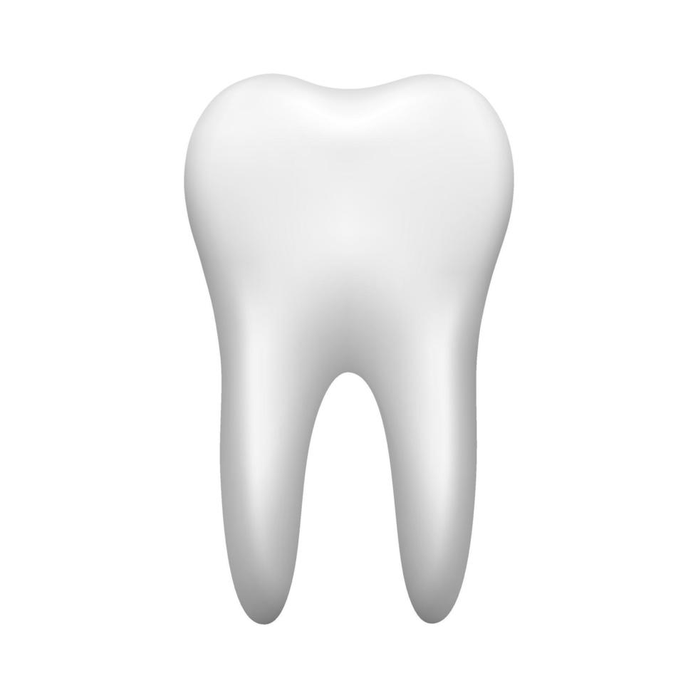 White tooth isolated on white background. Stomatology icon. Realistic vector illustration