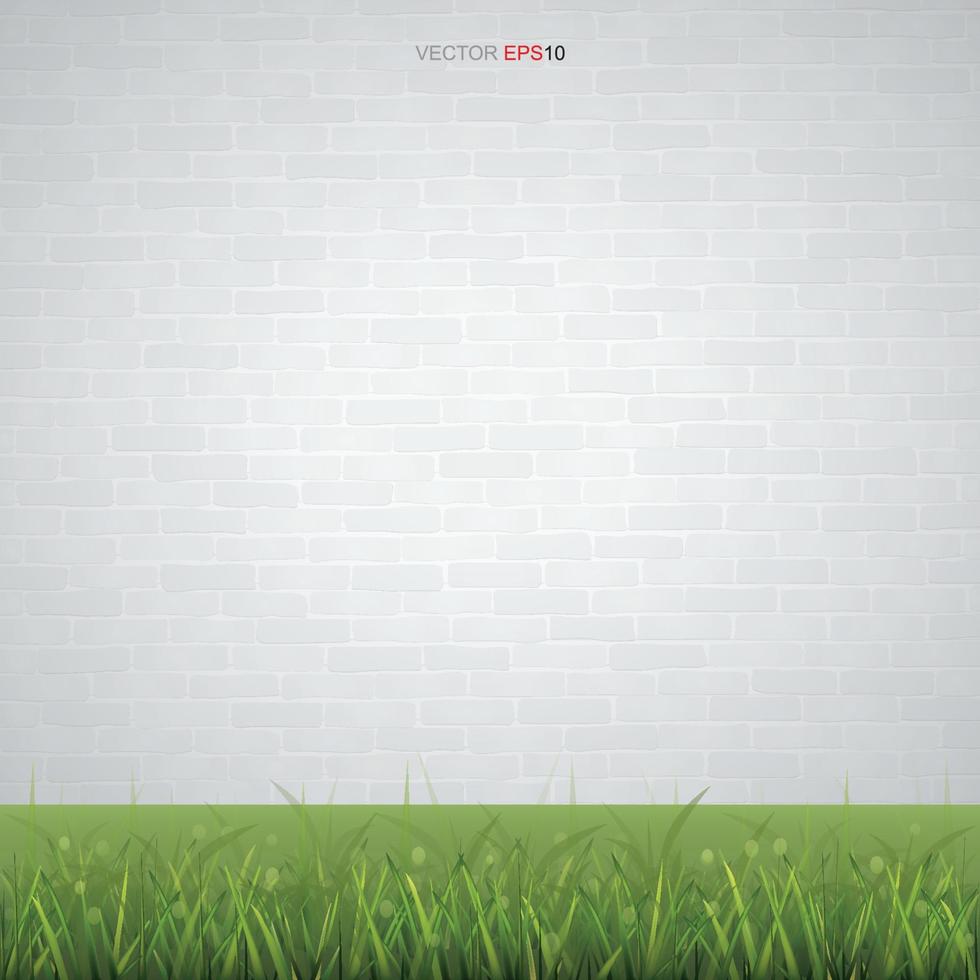 White brick wall texture and green grass for background. Vector. vector