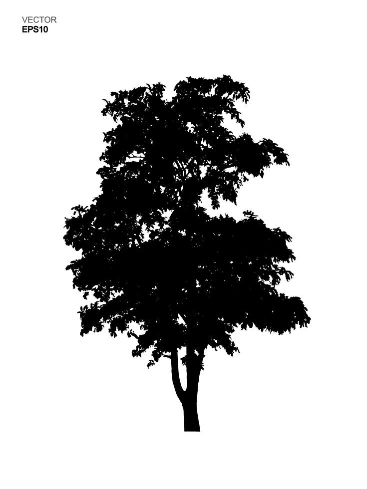 árbol silueta aislado sobre fondo blanco. uso de idea de parque y objeto al aire libre para diseño de paisaje, decoración arquitectónica. vector. vector