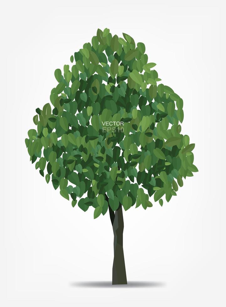 Abstract tree on white background for landscape design and architectural decoration. Vector. vector