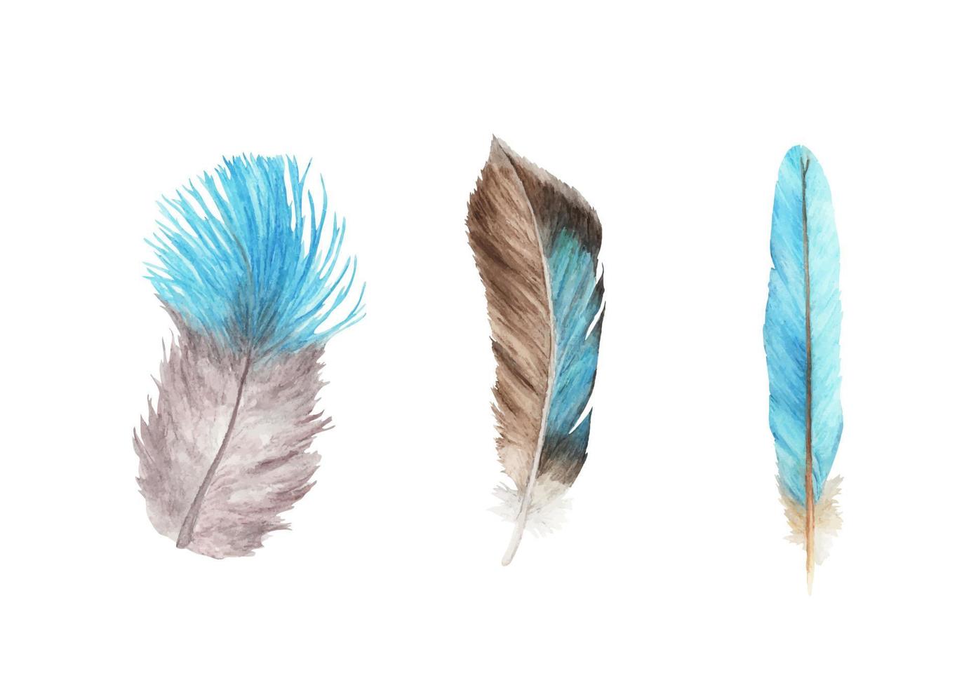 Bird feather. Boho style wings. Watercolor illustration. vector